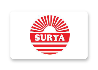 Webtel's XBRL Outsourcing Services for surya