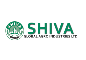 Cost XBRL Filing software by Webtel for shiva